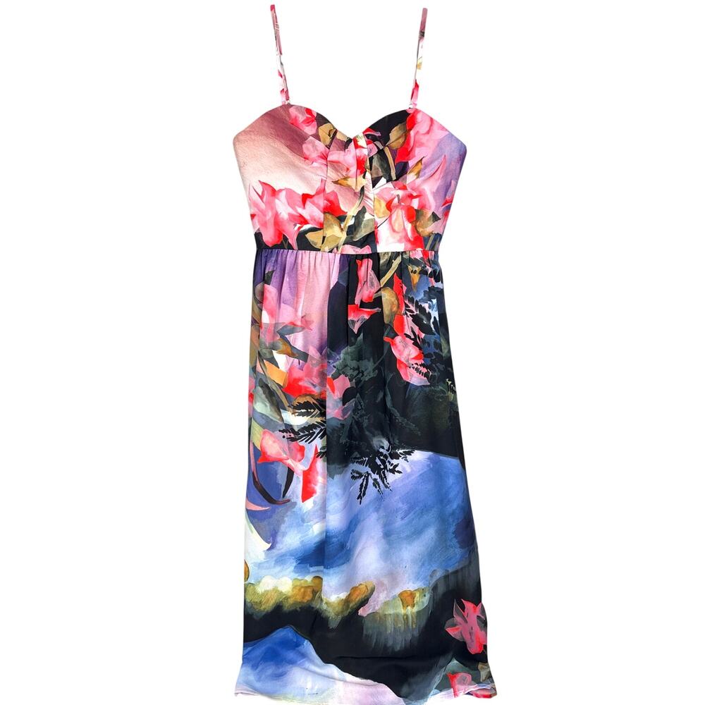 Anthropologie CoreyLynnCalter Womens 2 Floral Daybreak Multicolor Midi Dress NEW